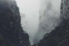 LINE@账号和LINE官方号买错了白花钱？5个维