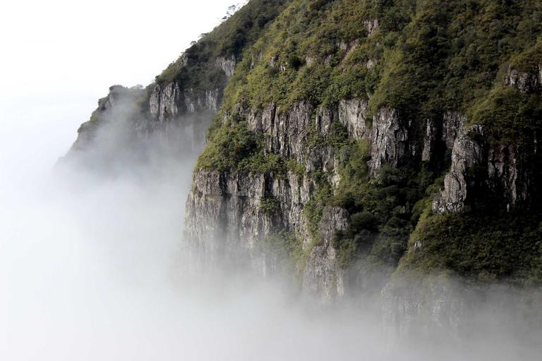 2-5天拿下WS蓝标认证，零系统成本办理教程